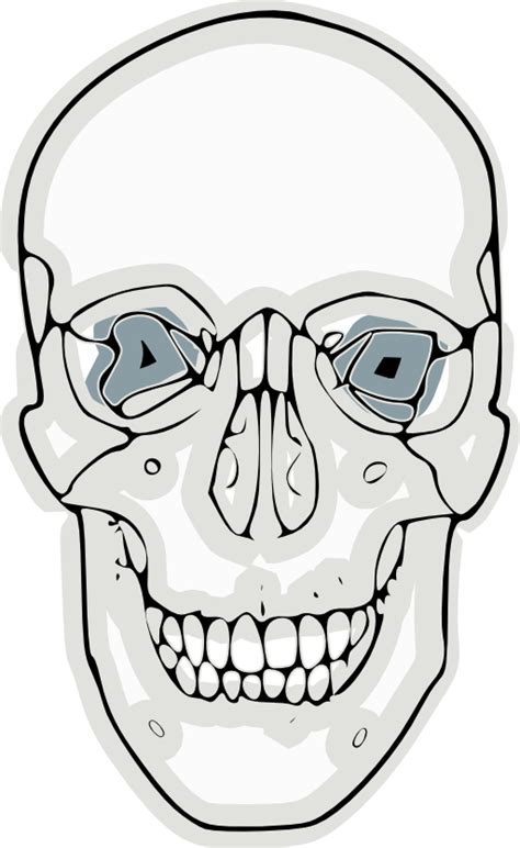 Digitalized Human Skull Clipart I2clipart Royalty Free Public