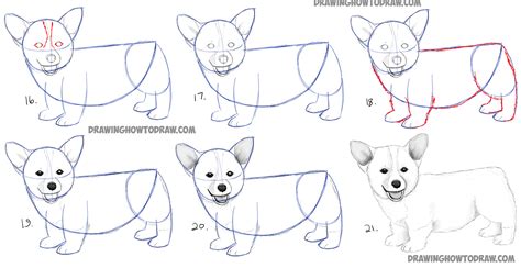 What are the basics of drawing? How to Draw a Corgi Puppy Easy Step by Step Realistic ...