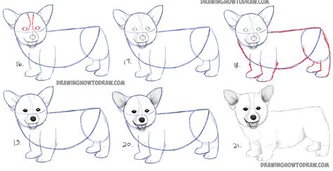Easy drawing step by step dog. How to Draw a Corgi Puppy Easy Step by Step Realistic ...
