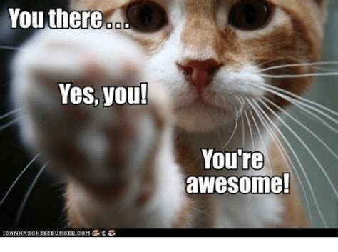 You Are Awesome Memes ~ Pict Art