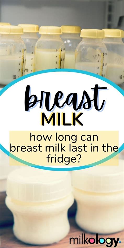How Long Can Breast Milk Last In The Fridge — Milkology®