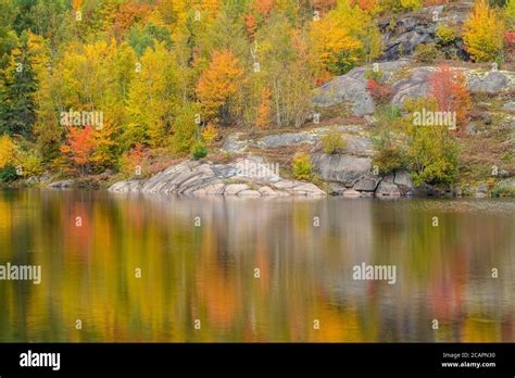 Autumn Reflections In Elbow Lake Wanup Ontario Canada Stock Photo