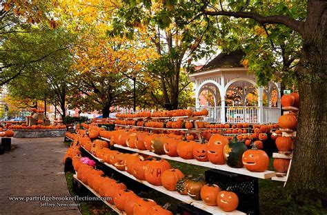 Fall Color In Keene Nh Central Square Fall Favorites New Hampshire