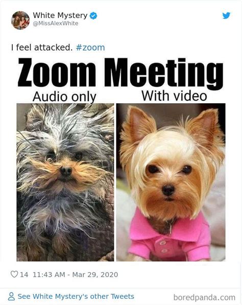 Here are 15 of our favorite memes. Zoom Work Meeting Meme - 2021