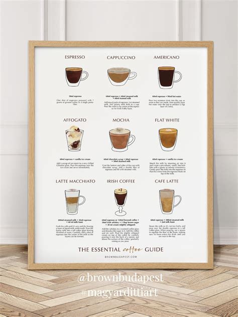 The Essential Coffee Guide For Coffee Lovers And Baristas Kitchen Art