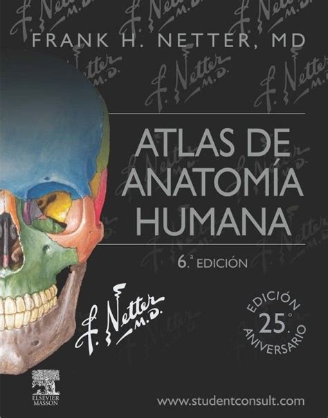 Atlas Anatom 237 A Humana Netter 6 Edicion Pdf Aqui Podras Descargar El