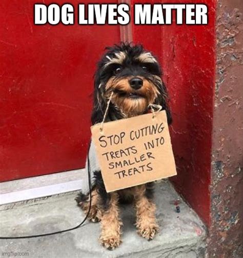Dog Lives Matter Imgflip