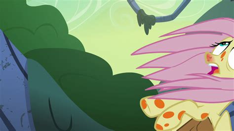 Image Fluttershy Falling Out Of The Trees S7e20png My Little Pony
