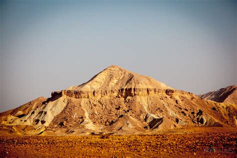 Negev Desert Nopctures