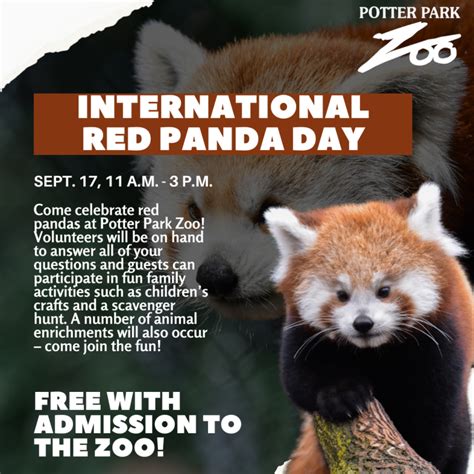 International Red Panda Day Celebration