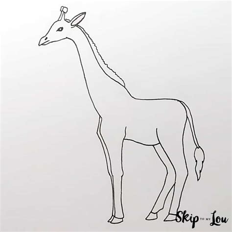 How One Can Draw A Giraffe Step By Step Tutorial Dandicreative