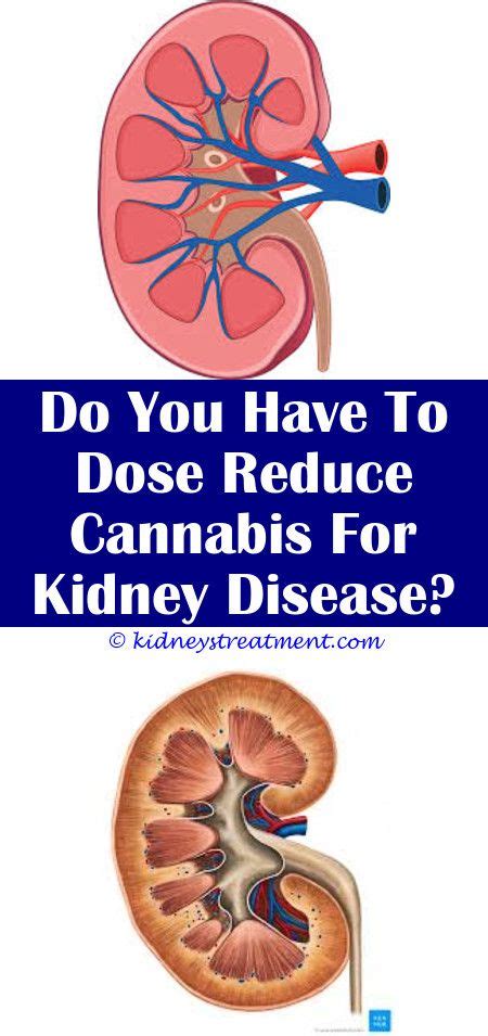 This is problematic because a dog's prognosis is better when the tumor is caught and treated before it. End Stages Of Diabetes In Dogs | Salemfreemedclinic Diabetes