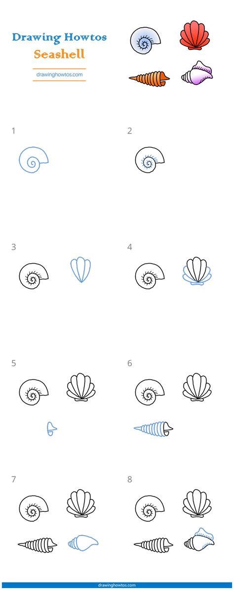 How To Draw A Seashell Step By Step Easy Drawing Guides Drawing Howtos
