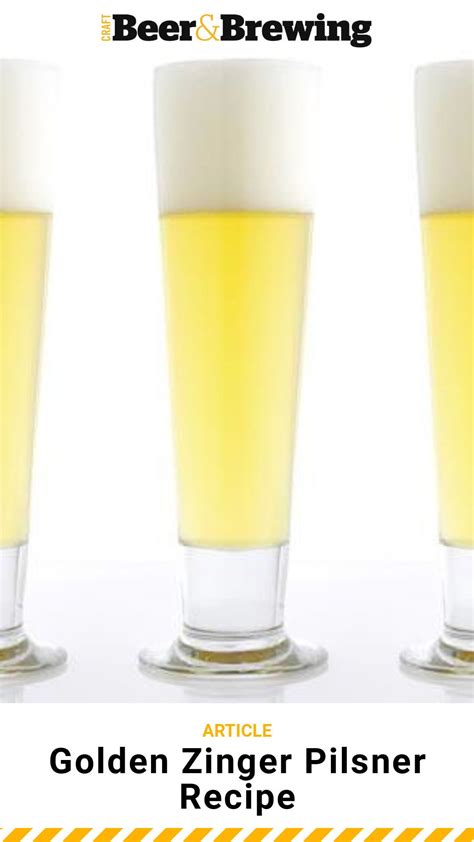 Search for instant quality results at helping.com. Golden Zinger Pilsner Recipe | Craft beer brewing, Pilsner ...