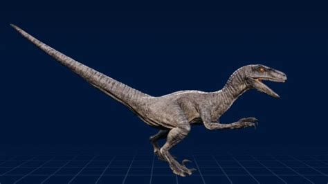 Velociraptor Jurassic Park World Jurassic World Dinosaurs