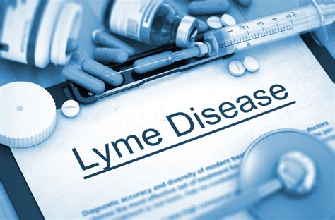 Lyme Disease Judy Rocher Health Clinic