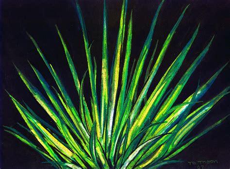 The mandala flowers are cool stuff to draw if you are doodling. Yucca Drawing by Melvin Moon