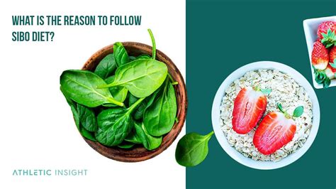 Sibo Diet A Beginners Guide And Meal Plan Athletic Insight