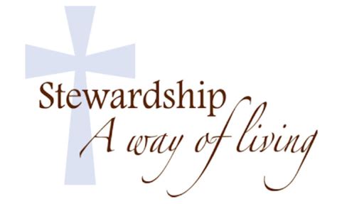 01/31/2021 (us) comedy 1h 30m. PLEDGING TO BE TOGETHER: 2021 STEWARDSHIP CAMPAIGN | St ...