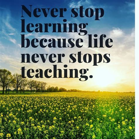 Great Quote Everyday There Are Opportunities For Learning No Matter