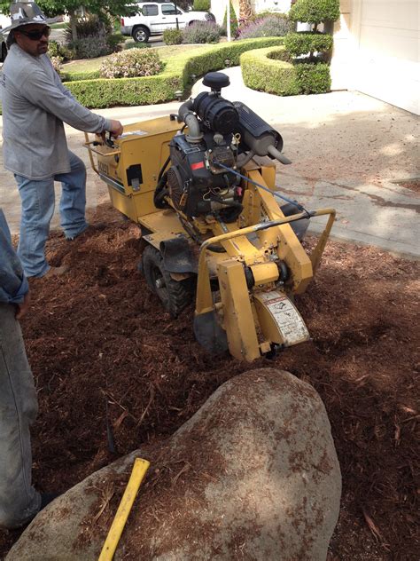 Stump Grinding Cordovas Tree Service Inc