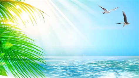 Sunshine Desktop Wallpapers Top Free Sunshine Desktop Backgrounds