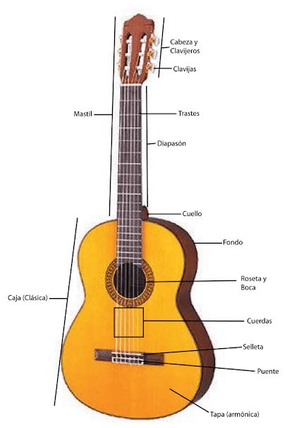 Conociendo Las Partes De Una Guitarra Ac Stica Clasica
