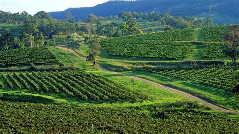 We did not find results for: Sally's Hunter Valley Finds