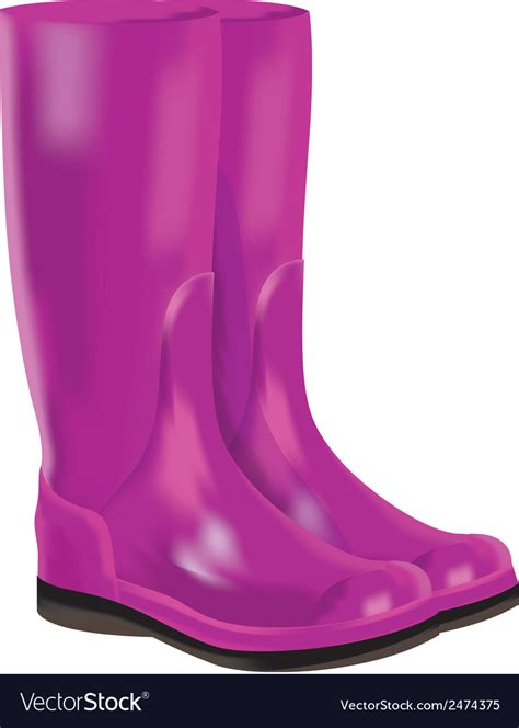Rubber Boots On White Background Royalty Free Vector Image