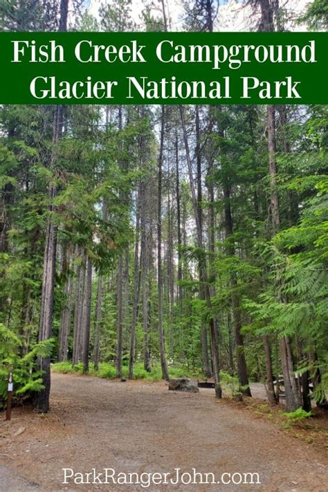 Glacier national park, through a publicly involved environmental impact statement, was recommended for inclusion in the national wilderness preservation system in 1974. Pin by Tammilee Tips on Montana in 2021 | Fish creek ...