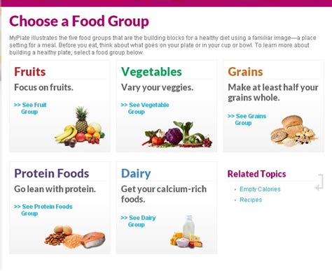 This section is the same size as meat, fish, eggs and other non dairy sources of. MyPlate Five food Groups | Diet & Nutrition | Pinterest