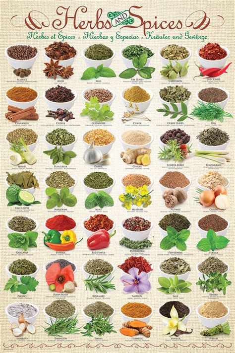 Different Herbs And Spices And Their Uses With Pictures Picturemeta