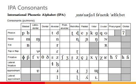International Phonetic Alphabet English Consonants Ipa Chart With English Examples Speech And