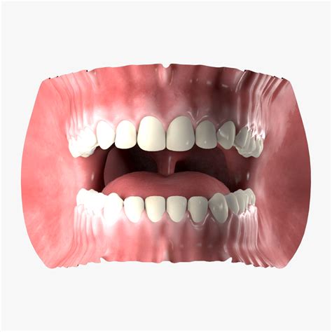 Human Mouth 3d Model 49 Max Fbx Obj Free3d