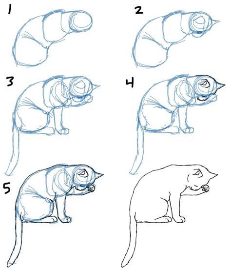 Pin By Sierra On Animals Animal Drawings Drawing Techniques Cat Drawing