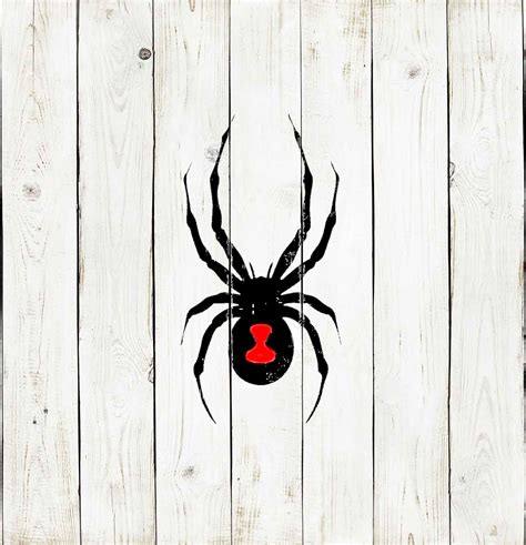 Black Widow Stencil Reusable Color Draw And Paint Stencil Etsy