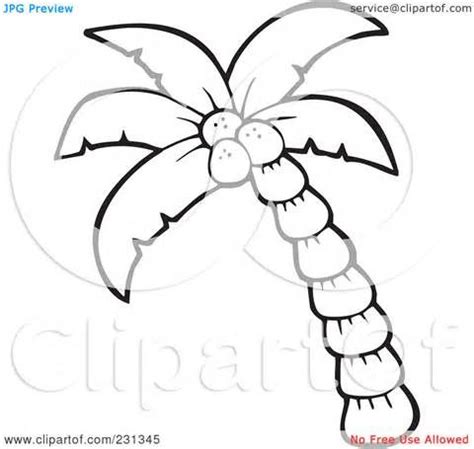 Printable palm leaf coloring page. Sabal Palm Coloring Page Coloring Pages | Leaf coloring ...
