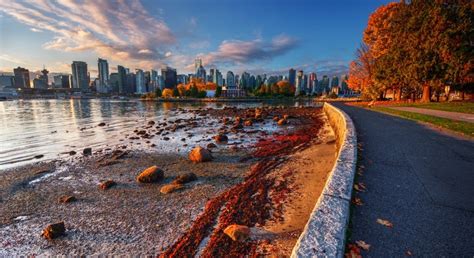 The Complete Guide To Vancouvers Stanley Park Authentik Canada