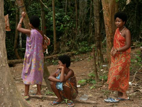 Indigenous people, broadly grouped as anak negeri, orang ulu and orang asli, are thought to collectively comprise approximately 13.9 per cent of the malaysia has for decades reserved special privileges for the majority ethnic malay in the face of minority ethnic chinese and indians. Batek people: Indigenous group of Malaysia ...