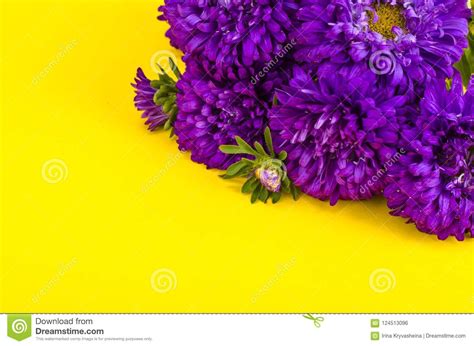 Bouquet Of Garden Flowers On Bright Background Stock Photo