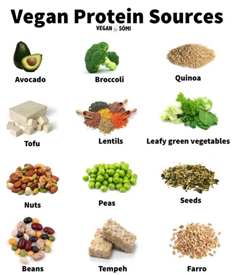 15 Beautiful Vegan Protein List Best Product Reviews
