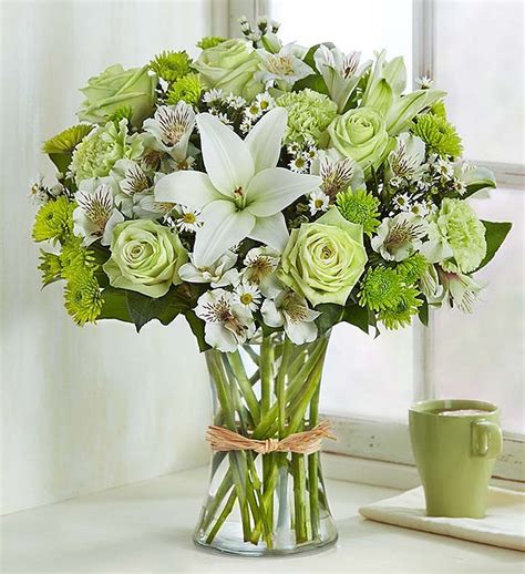 Check spelling or type a new query. Please Me In Green Bouquet - A Bella Mia Flowers Boston