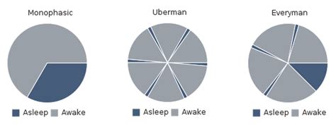 Seed Study Polyphasic Sleep In Ten Steps Lesswrong