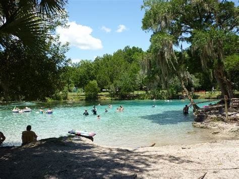 Silver Glen Springs Picture Of Ocala National Forest Umatilla