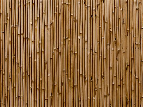 Bamboo Wall Texture High Res Wood Textures For Photoshop