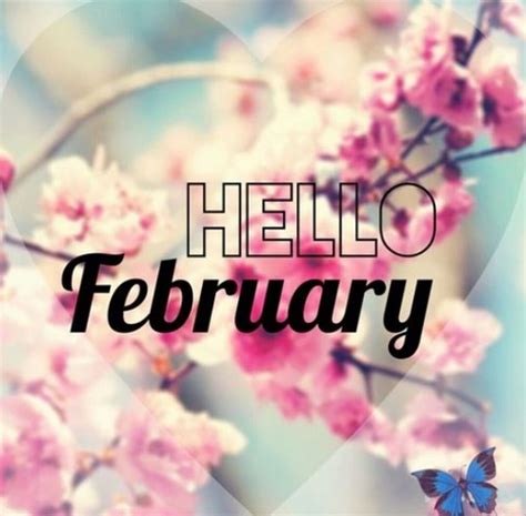 Hello February Pictures Photos And Images For Facebook Tumblr