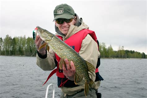 Lake Ruovesi Pike Fishing Tampere Region Finland
