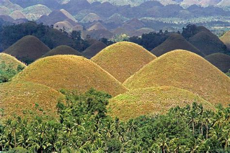 .philippines because of its beautiful beaches, rolling chocolate hills and tiny tarsier primates. Gotravelad