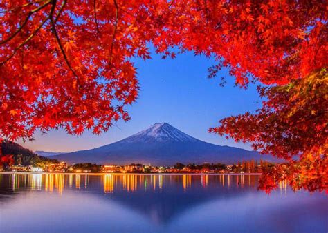 Fall Colors In Japan 2023 Best 8 Spots To See Japanese Maple Leaves