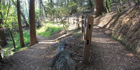 Steep Ravine Trail To Dipsea Trail Loop Outdoor Project
